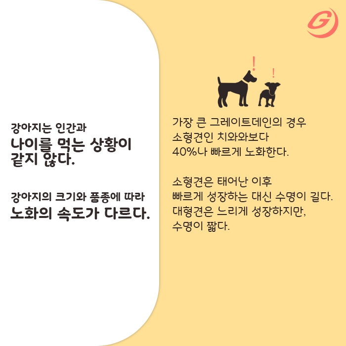 빈이미지