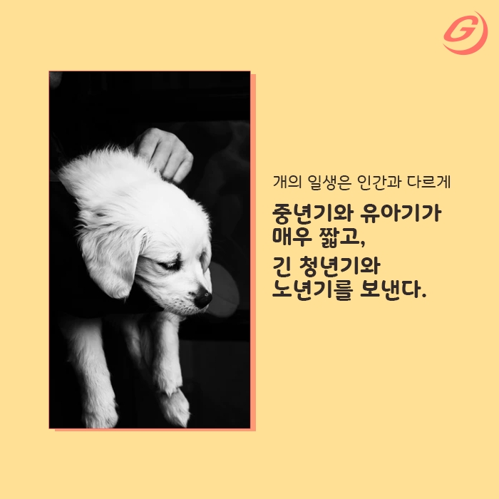 빈이미지