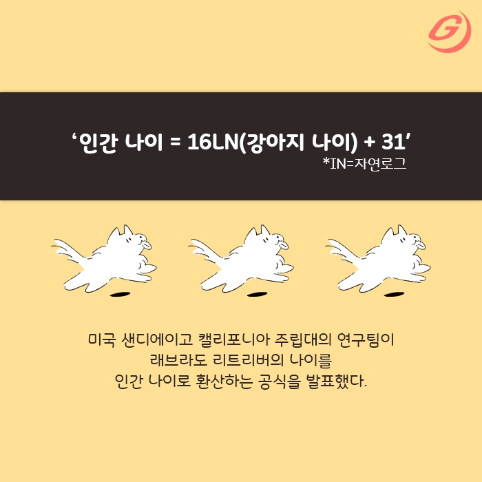 빈이미지