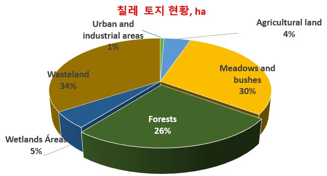 빈이미지