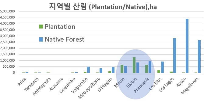 빈이미지