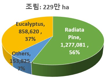 빈이미지