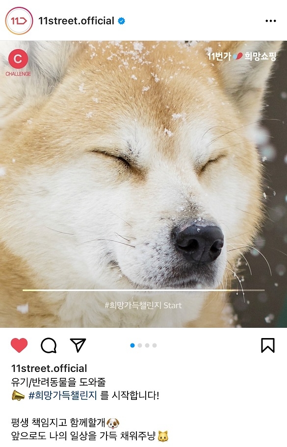 빈이미지