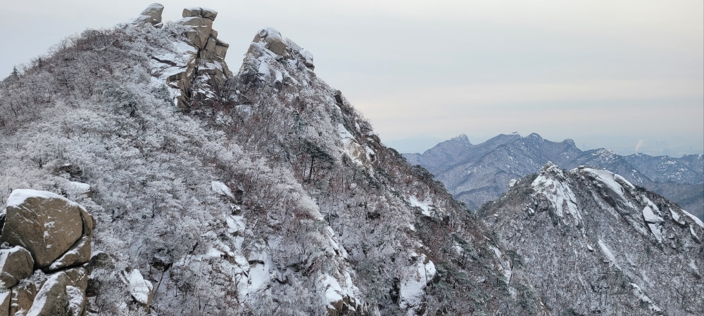 빈이미지