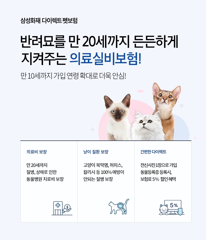 빈이미지