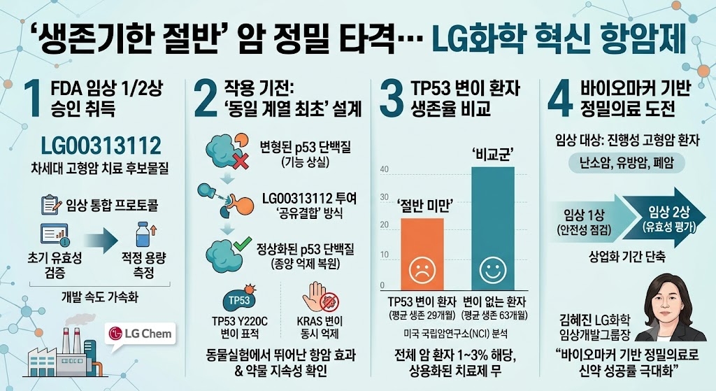 빈이미지