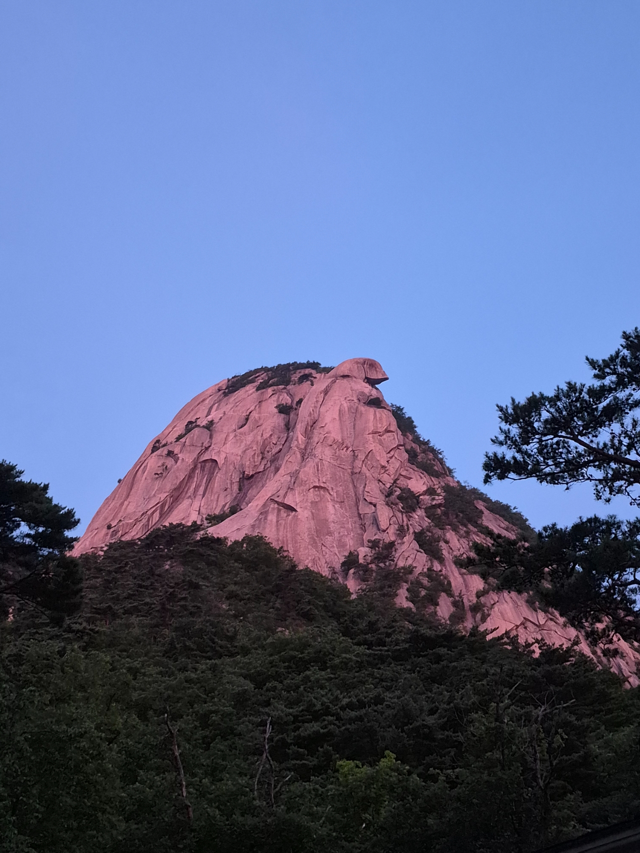 빈이미지
