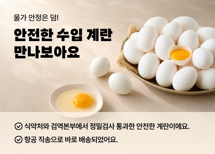 빈이미지
