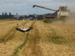 美 농무부 “세계 곡물 공급 악화로 농산물 가격 상승 전망”