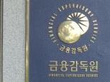 금감원, '채권 돌려막기' 하나·KB증권 중징계 조치…이홍구 KB증...