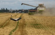 “세계 곡물 공급 악화로 농산물 가격 상승 전망”