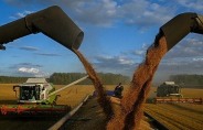 호주, 가뭄·재고 소진으로 밀 수출 감소…국제 밀 가격 상승 우려