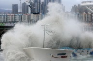 매년 태풍·장마 피해 커져도 외면… 풍수해보험 10명 중 7명 ‘미가입’