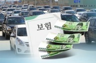 한방병원 '나이롱 환자' 득실… 車보험료 올리는 주범