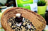 파주시, 한국 최초 콩 장려품종 ‘장단백목’ 해외서도 주목