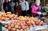 사과·양배추 1년새 2배 올라…생산자물가 5개월 연속 상승