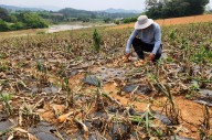 올해 이상기후發 역대급 ‘폭염·폭우’ 예고…손보사 초긴장