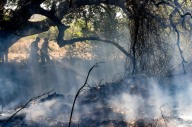 펄펄 끓는 북반구, 때 이른 폭염 기승…아테네 신전 폐쇄, 튀르키예 산불 비상