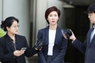 노소영, 최태원과의 이혼소송 상고 안 한다