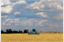젤렌스키 우크라이나 대통령 "올해 곡물수출 절반으로 감소 우려"