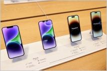 애플, 아이폰14 생산 확대 취소 소식에 주가 '출렁'
