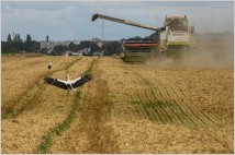 미국 농무부 “세계 곡물 공급 악화로 농산물 가격 상승 전망”