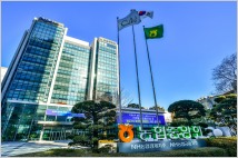 금감원, 20일부터 농협금융 정기검사…지배구조 고강도 점검