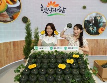 KT알파, 8일 제주 미니단호박 판매 방송