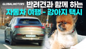 강남 한복판에 럭셔리 강아지 택시가 떴다!...업계 최초 반려견 시승기
