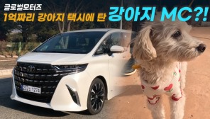"강아지 택시와 강아지 MC가 만나다"...럭셔리 미니밴 알파드가 모신 견주는?