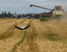 美 농무부 “세계 곡물 공급 악화로 농산물 가격 상승 전망”