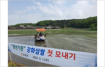 강화군, '풍년 예약' 최고 품질 강화섬쌀 첫 모내기