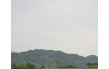 섬진강 동화정원, 초록빛 ‘호밀밭’으로 장관
