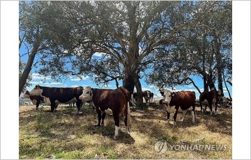중국, 리창 총리 호주 방문 앞두고 쇠고기 수입 제한 추가 해제