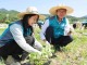 한국마사회 임직원, 탄소중립 위한 활동…ESG경영 실천