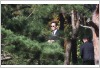 故 이건희 선대회장 5주기 추도식…이재용 등 삼성家·경영진 헌화