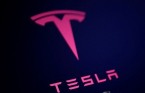 테슬라, 상하이 공장 4분기 생산 확대 발표...주가 5.4% 급등
