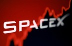 스페이스X, 주가 16% 급락…3일간 24% 폭락에 개미들 '눈물'