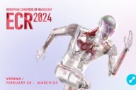 루닛, ECR2024서 흉부 엑스레이 분석 통한 'AI 성능평가' 연구결과 발표