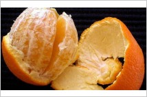 [글로벌-Biz 24] 오렌지 껍질로 바이오플라스틱 만든다