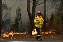 [글로벌-이슈 24] '재앙급' 호주 산불, 서울면적 100배 불탔다