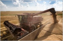 [글로벌-Biz 24]우크라이나 밀 수출 17% 감소
