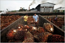 [글로벌-Biz 24] 미국, ‘불법 강제노동’ 말레이시아 세계 최대 팜유업체 사임다비 선적 금지
