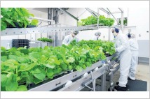 일본 제약사 미쓰비시 다나베 파마, 세계 최초 식물성 코로나19 백신 개발
