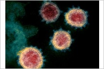 남아공, 면역반응 회피 새 코로나19 변종 발견