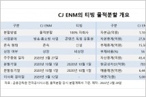 [지배구조 분석] CJ ENM의 세번째 물적분할 기업 티빙의 과제는?