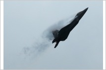미 공군, 나토 영공 방어 강화 위해 폴란드에 F-22전투기 6대 파견