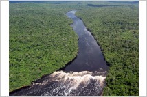영국, 아마존 산림 벌채 예방 위해 7,300만 달러 기부