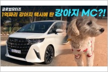 "강아지 택시와 강아지 MC가 만나다"...럭셔리 미니밴 알파드가 모신 견주는?