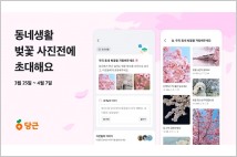 당근, "동네 벚꽃 명소 보고가세요"…사진전 개최